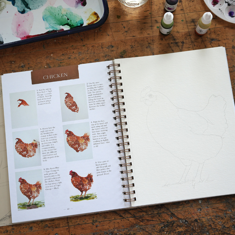 Bird Workbook by Sarah Cray