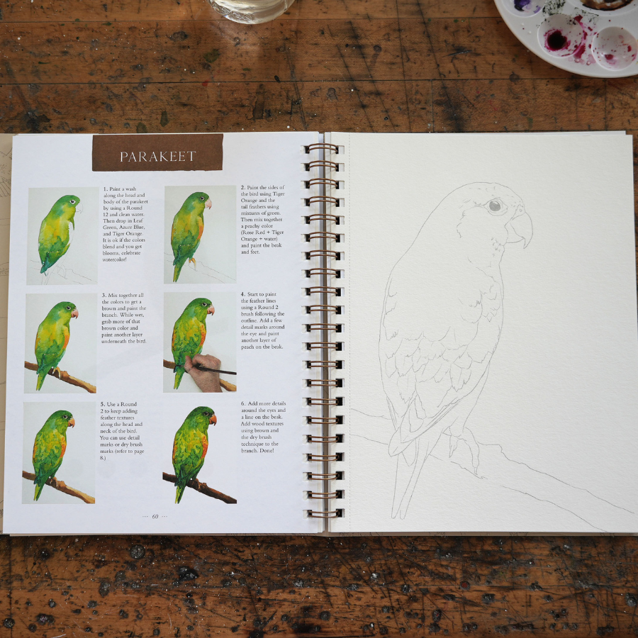 Bird Workbook & Dandelion Paint Co. Bundle