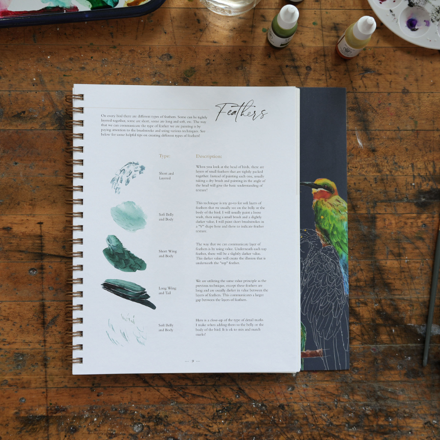 Bird Workbook by Sarah Cray