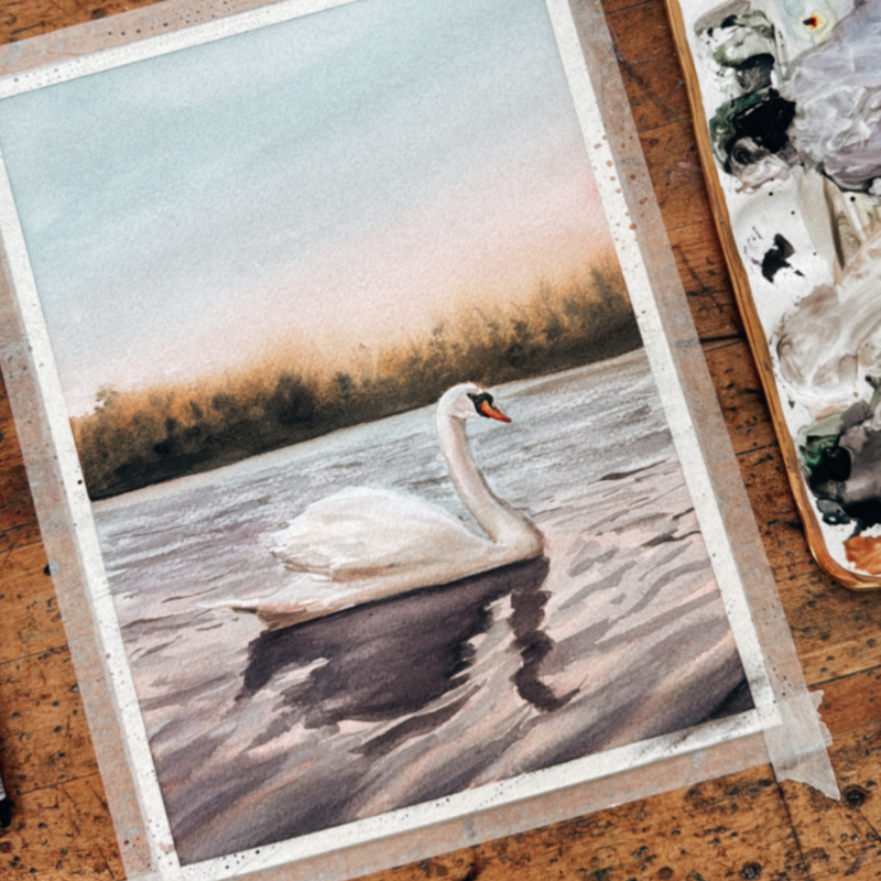 Watercolor Swan - Digital Kit