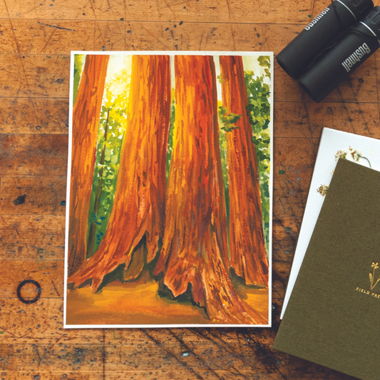 Gouache Sequoia National Park - Digital Kit