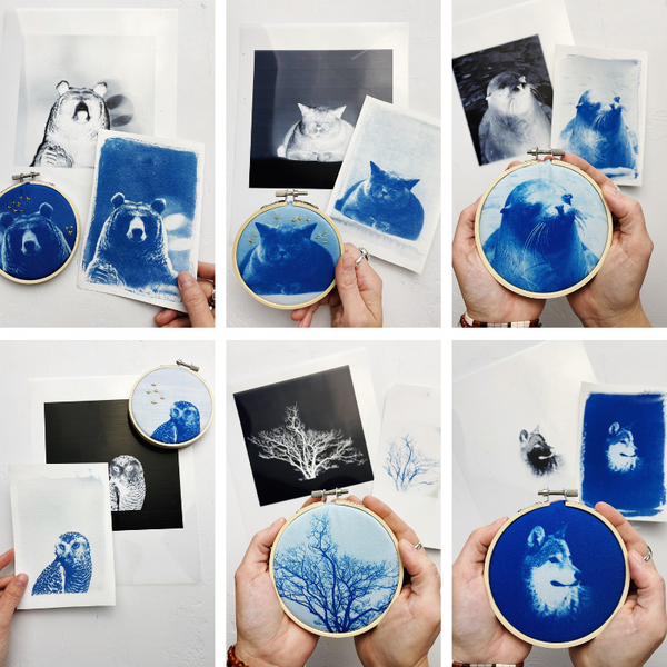 Cyanotype Paper Kit – Lost & Found