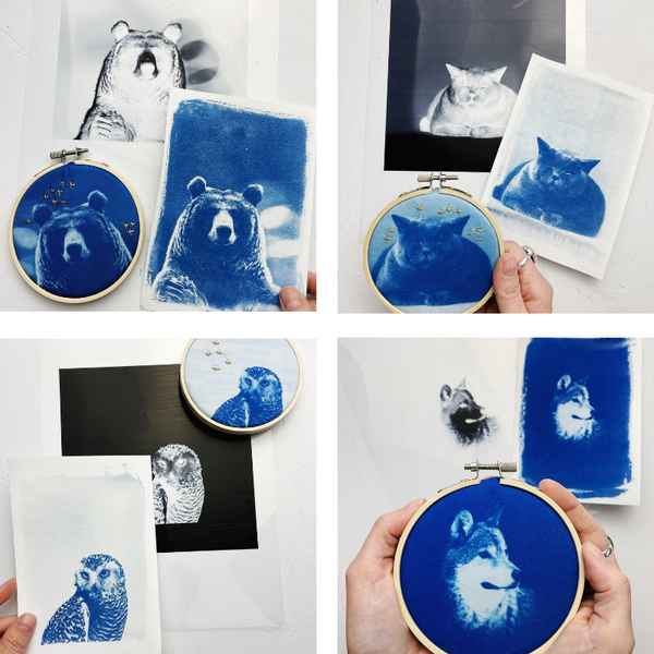 Creating 100 Sheets of Cyanotype Paper